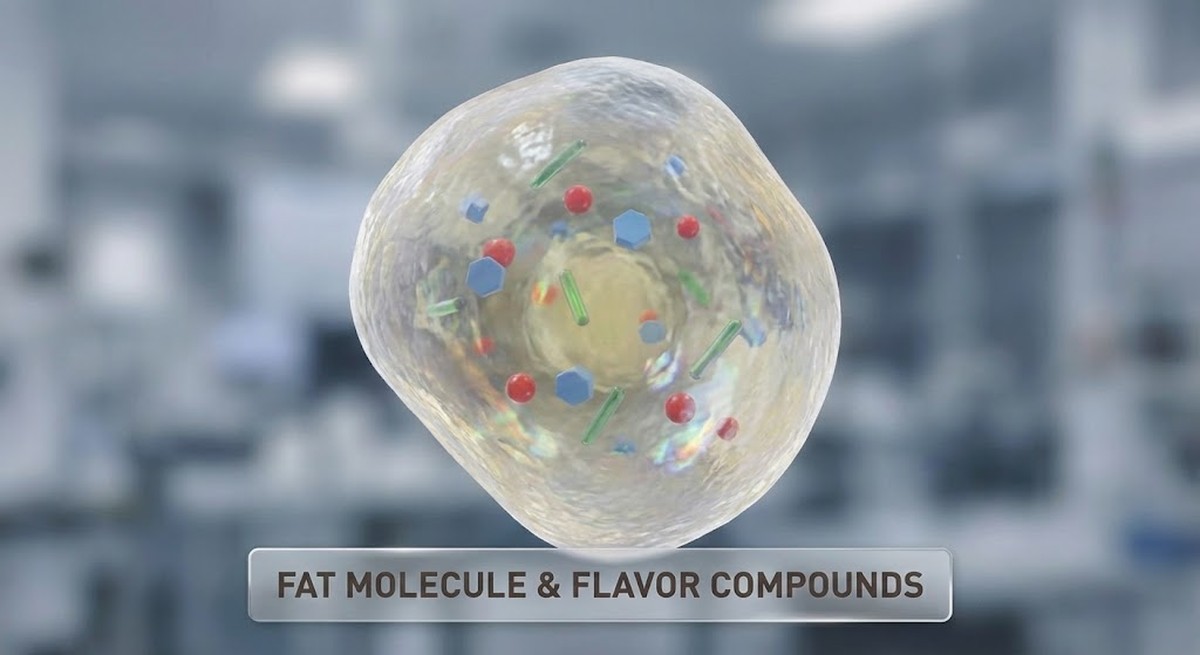 Fat Solubility and Flavor Release in Creamy Dishes | TeaTrade