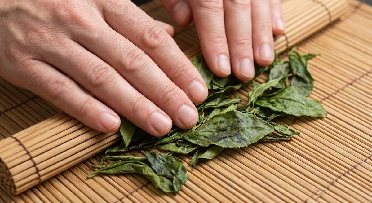 Hand-rolling tea showing cell wall breaking without tearing leaves