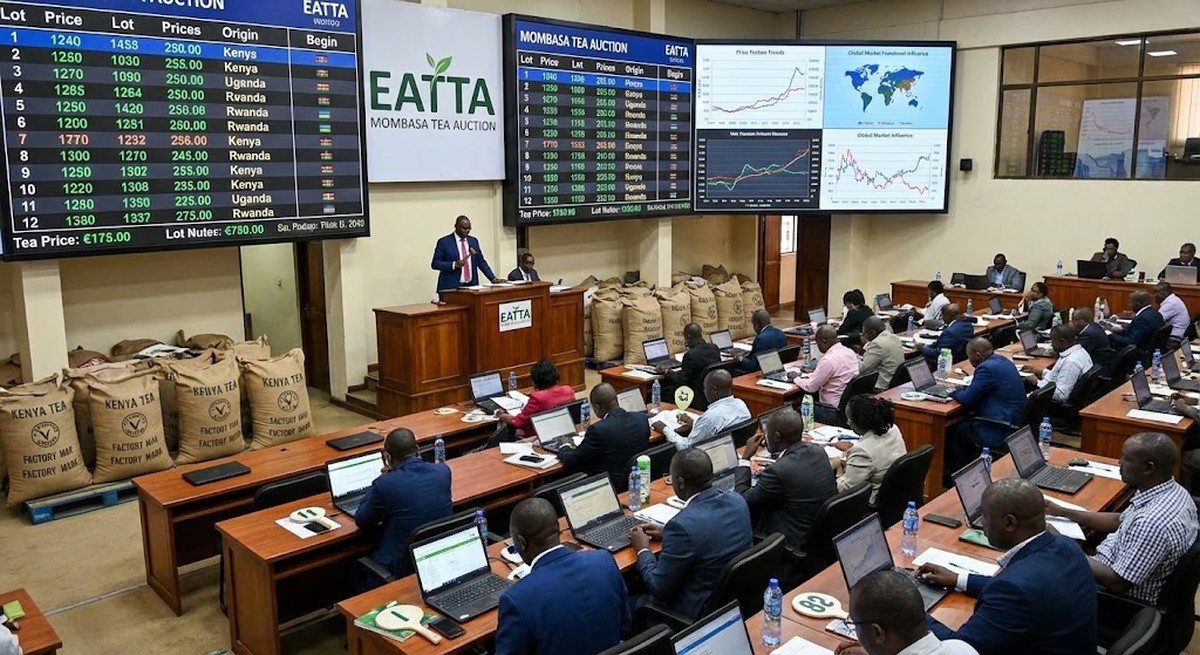 Mombasa auction showing how Kenya sets global tea prices