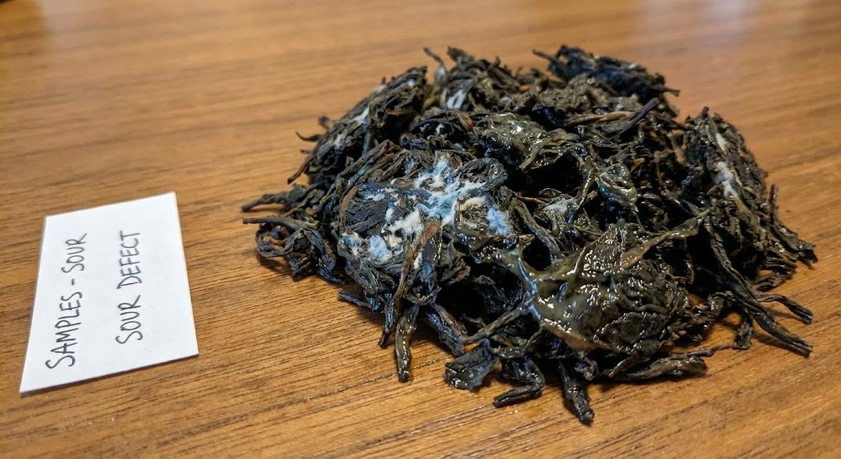 Tea leaves showing signs of over-fermentation with sour defect.